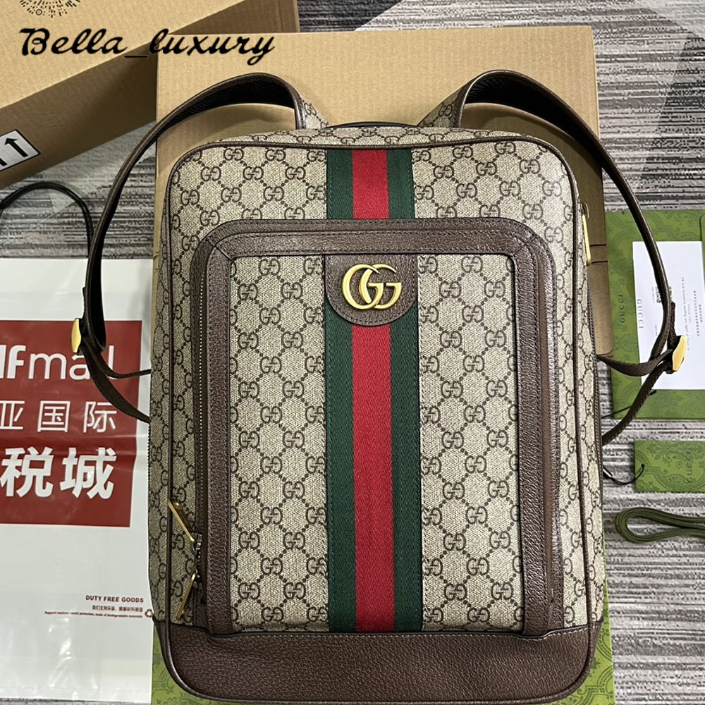 Gucci ophidia backpack