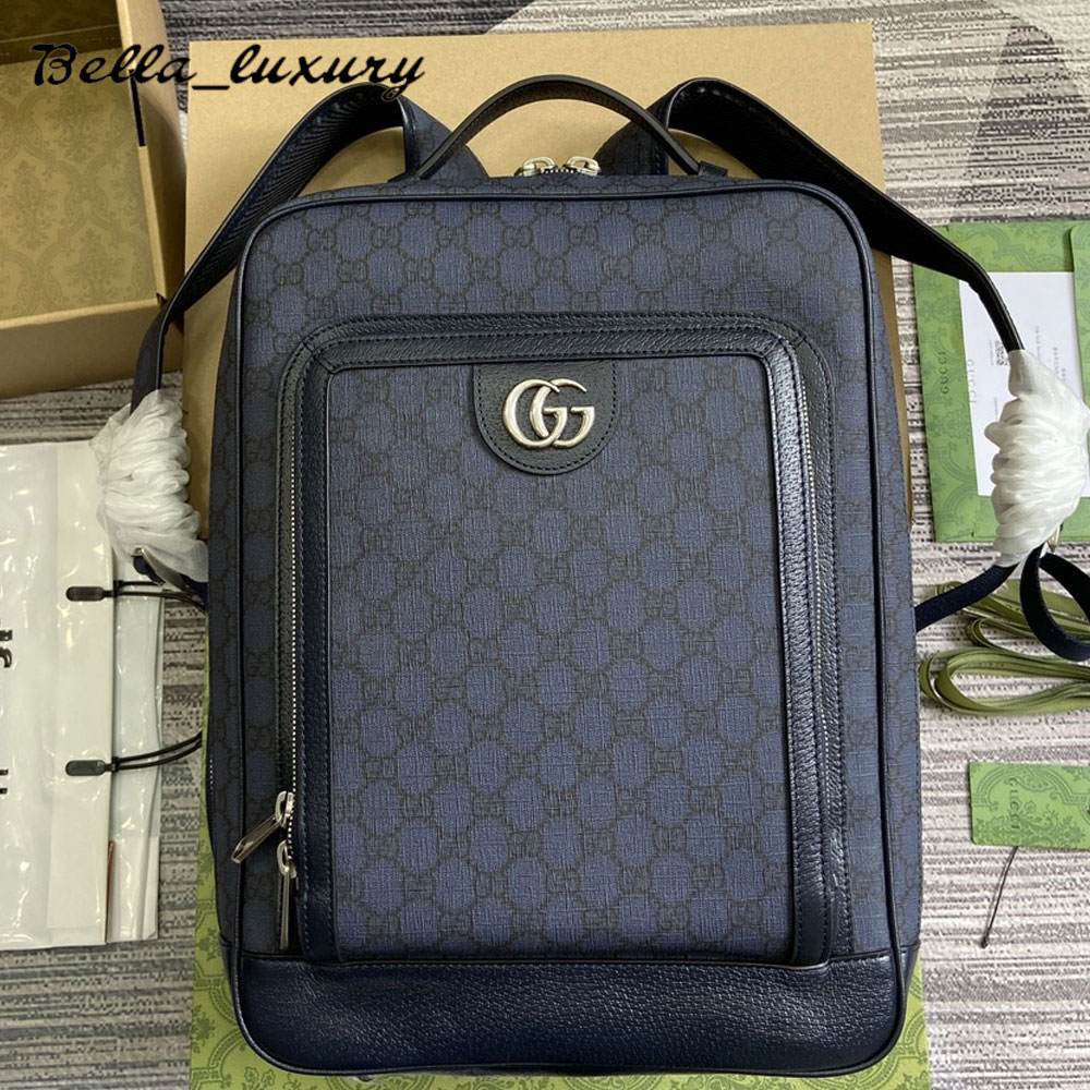 Gucci ophidia backpack